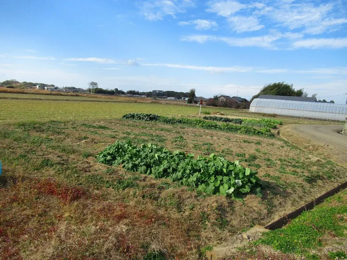 Oita Prefecture Usa City Kamishikida Land Property (4)
