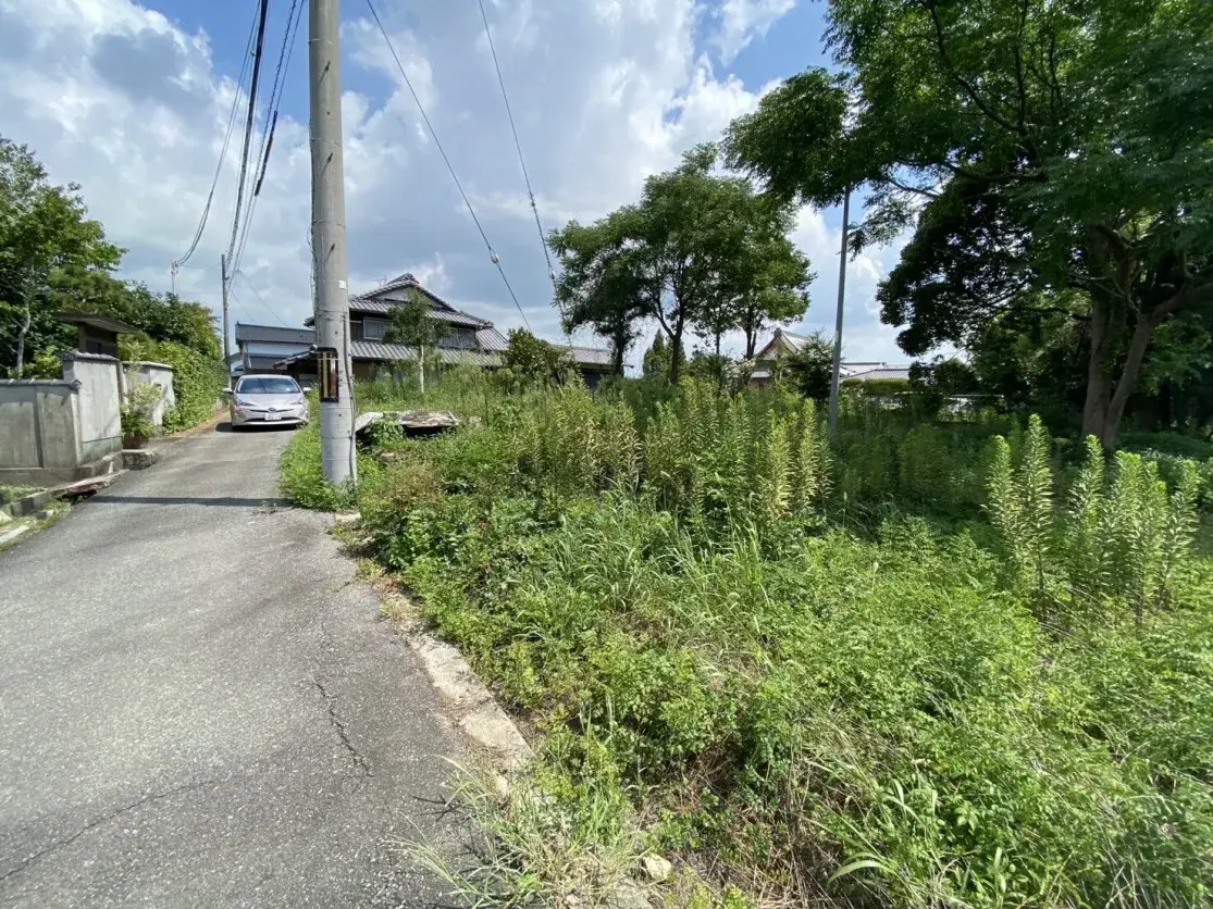 Slide 4