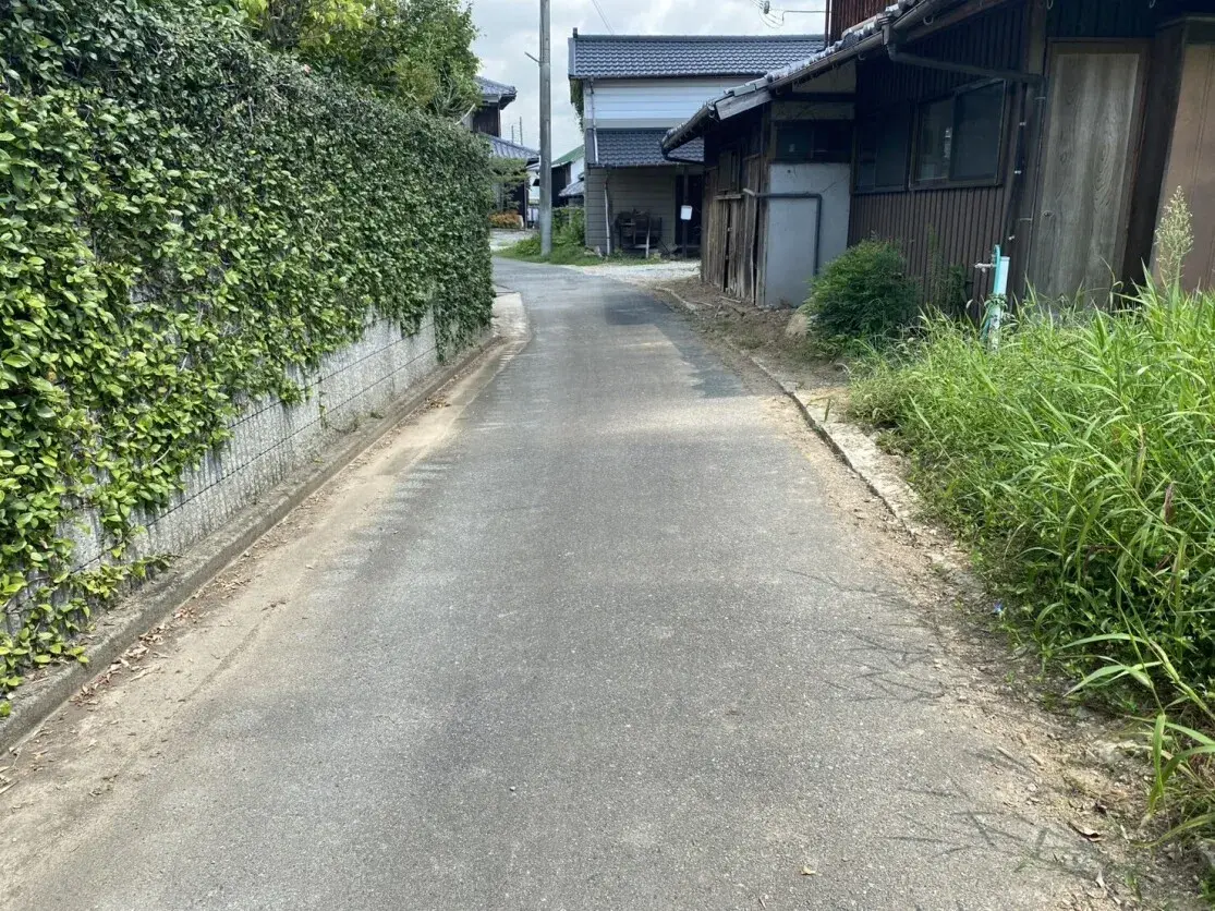 Slide 5