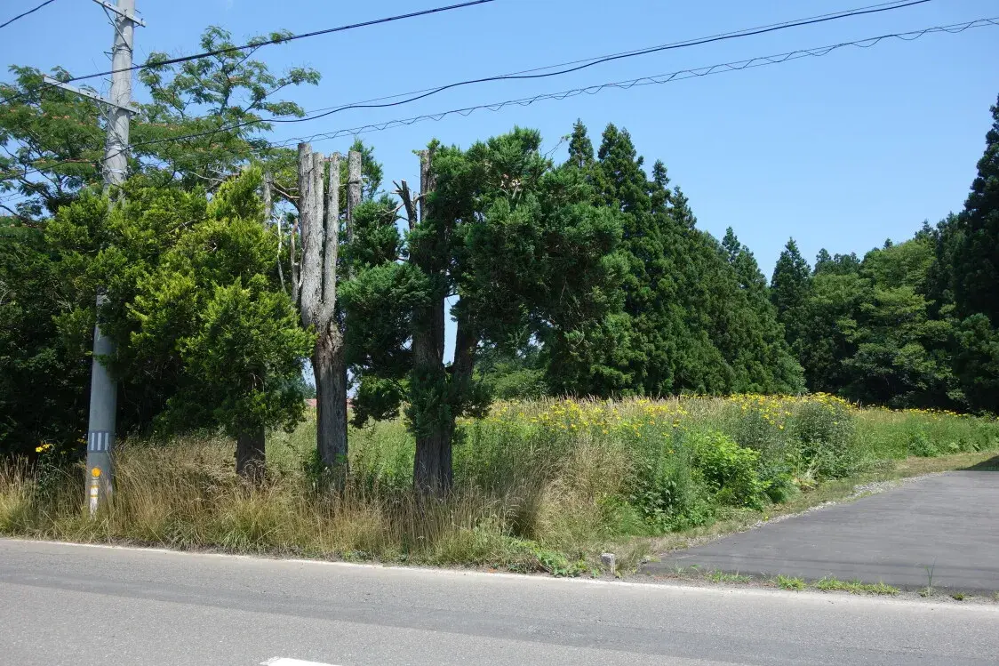 Aomori Prefecture Shichinohe Town Residential Property (1)