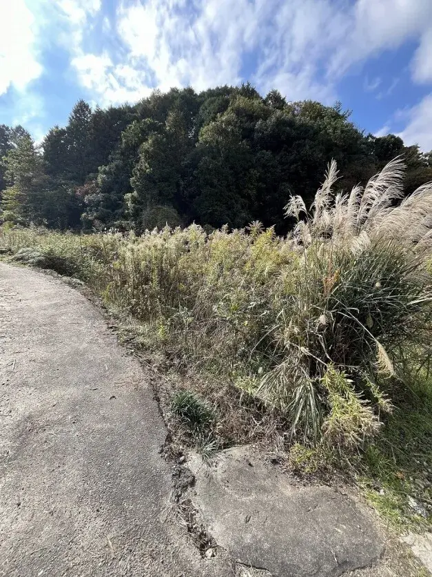 5LDK Property Niihama City Ehime Prefecture (6)