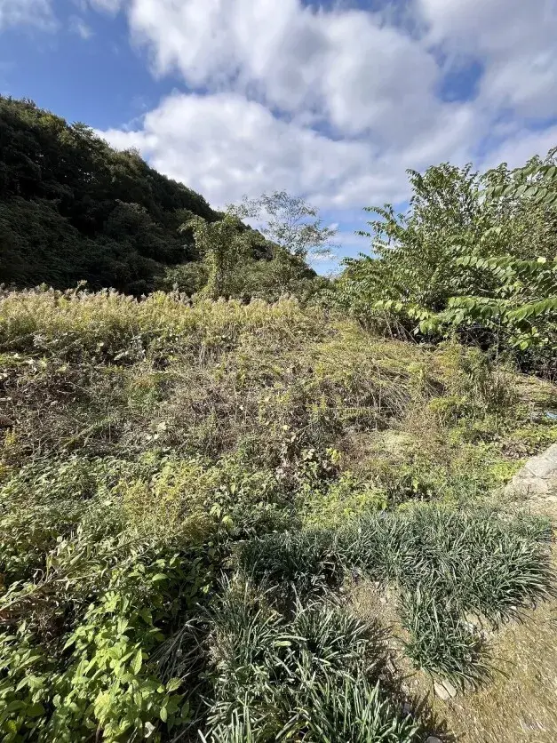 5LDK Property Niihama City Ehime Prefecture (7)