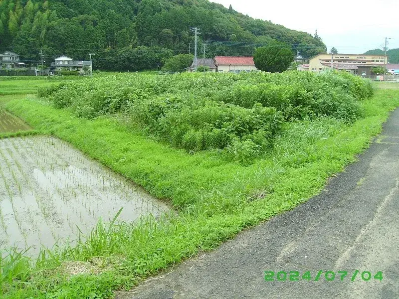 Slide 2