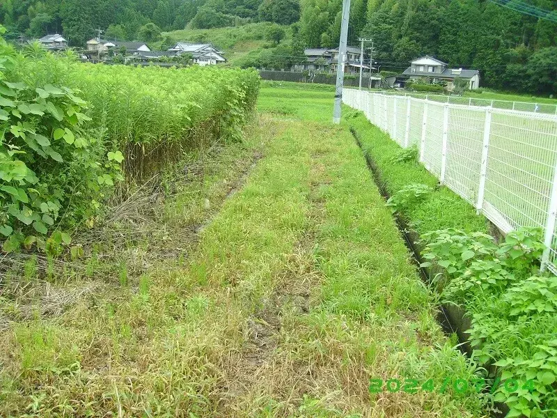 Slide 3