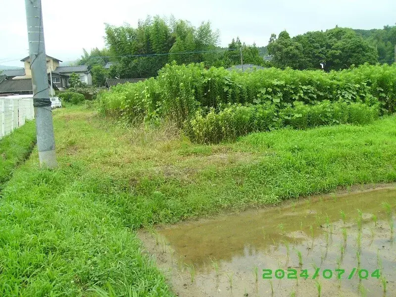 Slide 5