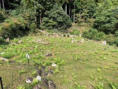 Slide 4