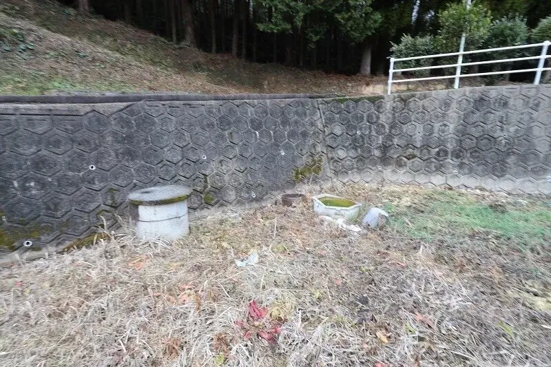 Slide 5