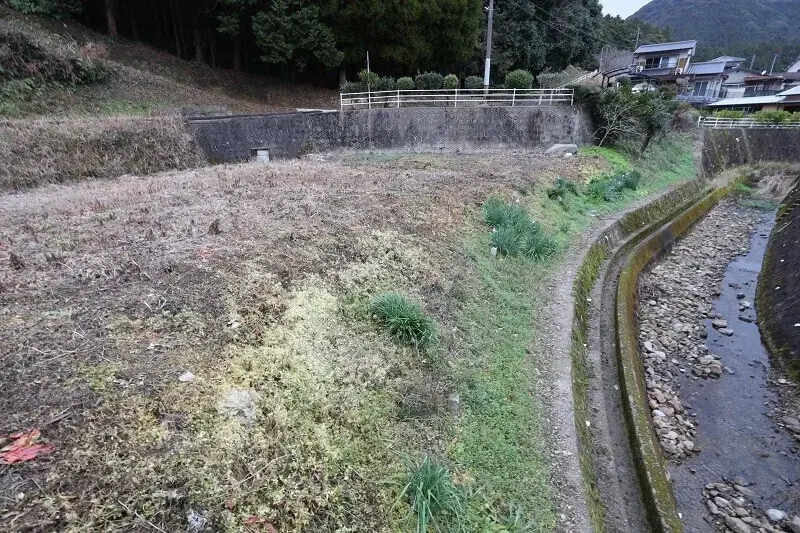 Slide 7