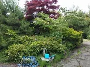 10DK Niigata Prefecture Sado City Property (10)