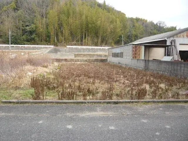 Slide 5