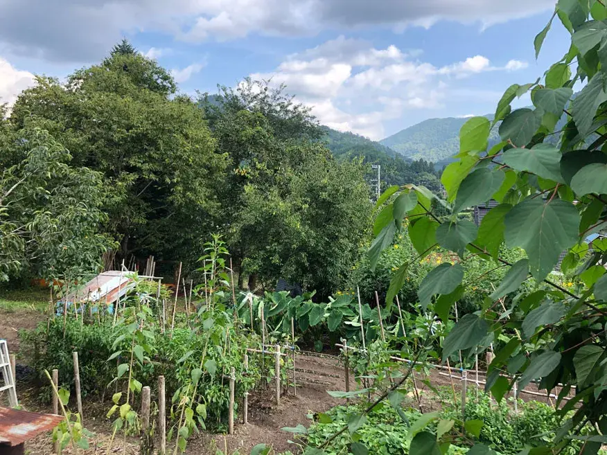 Terreno en la ciudad de Nantan, Prefectura de Kioto (13)