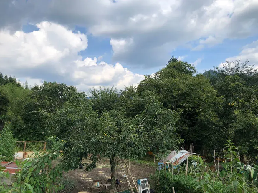 Terreno en la ciudad de Nantan, Prefectura de Kioto (14)