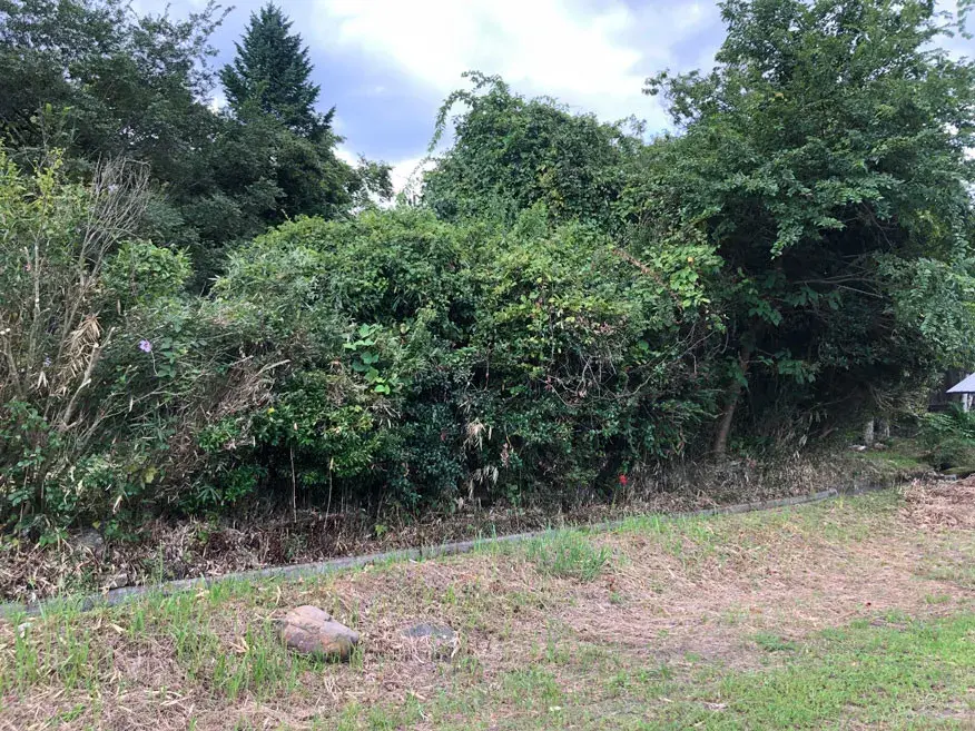 Terreno en la ciudad de Nantan, Prefectura de Kioto (5)