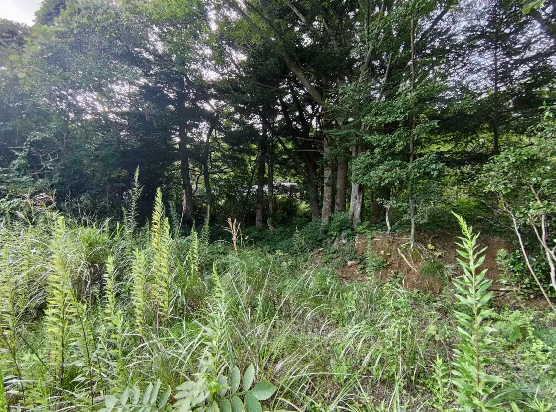 Обширный земельный участок Naraha-machi, Futaba-gun, Fukushima Prefecture (2)
