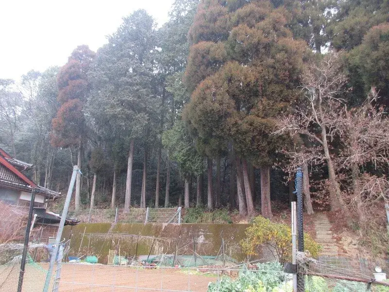 Land Property Takeo City Saga Prefecture (14)