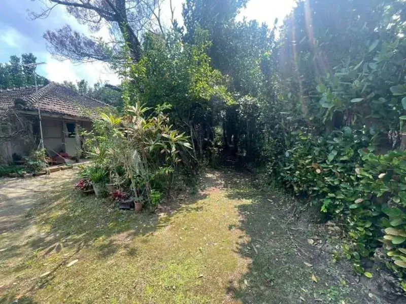 Slide 3