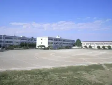 Slide 7