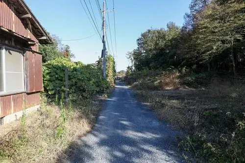 Slide 5