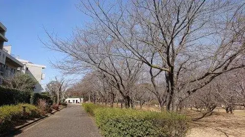 4LDK Property Tsukubamirai City Ibaraki Prefecture (13)