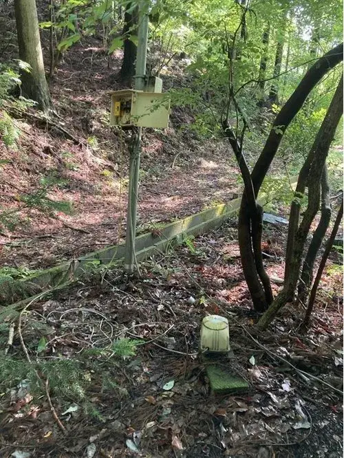 Slide 5