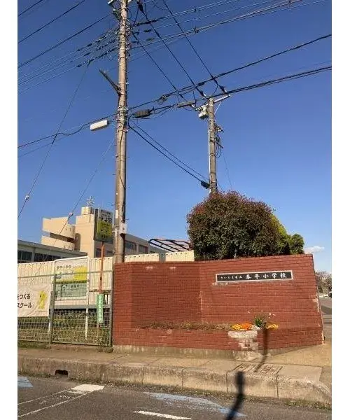 Slide 8