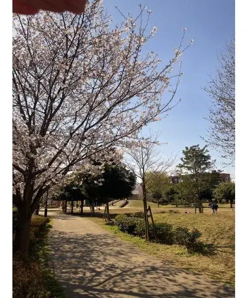 Slide 9