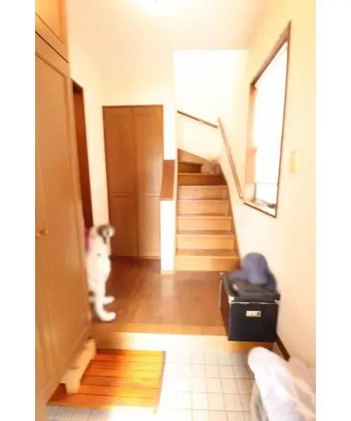 Slide 5