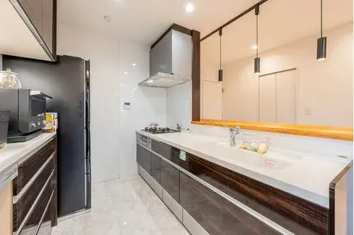 2LDK Property Mitaka City Tokyo (11)