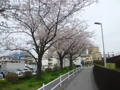 3LDK Property Katsushika-ku Tokyo (13)