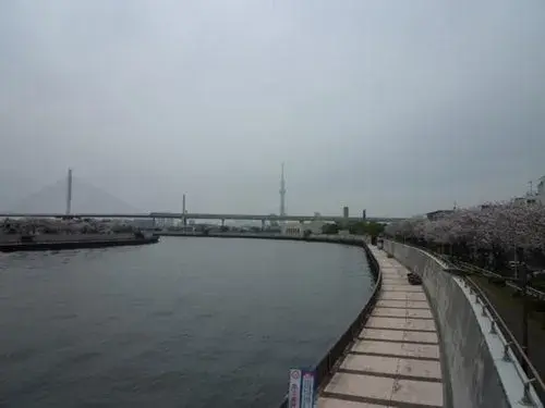 3LDK Property Katsushika-ku Tokyo (14)