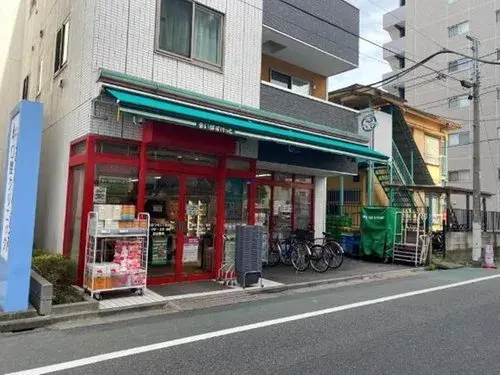 3LDK Property Katsushika-ku Tokyo (10)