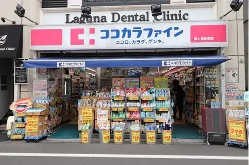 2LDK+S Setagaya Ward Tokyo Property (18)
