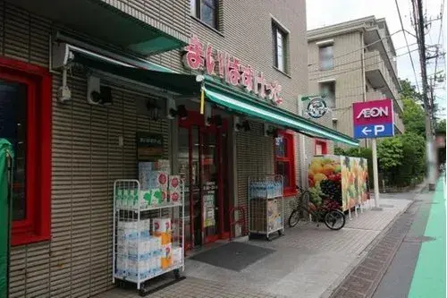4LDK Property Setagaya Ward Tokyo (12)