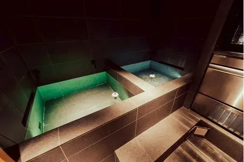 1LDK Minato-ku Tokyo Property (3)