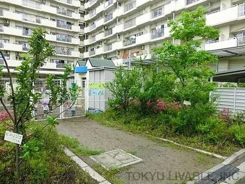 Tokyo Mitaka City 4DK Property (16)