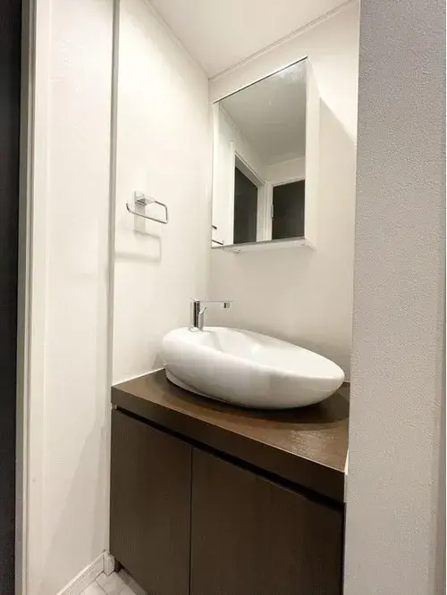 Tokyo Setagaya-ku 1LDK+S Property (17)