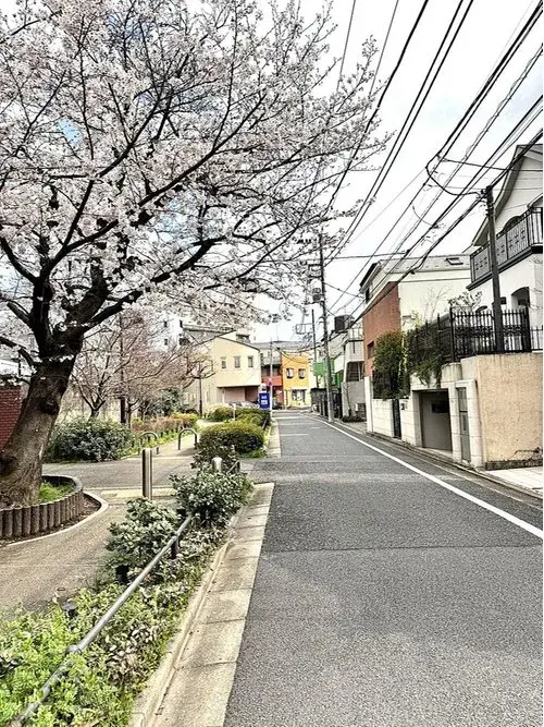 4LDK物件 世田谷区 東京都 (21)