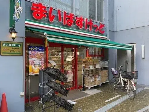 4LDK+S Shibuya-ku Tokyo (9)