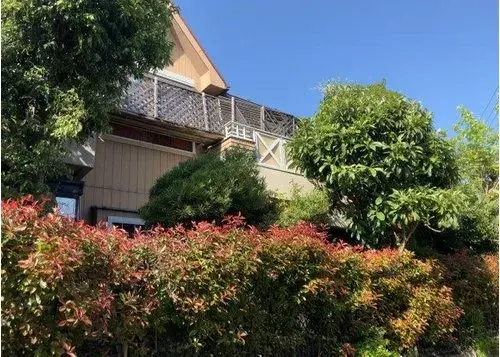 Slide 8