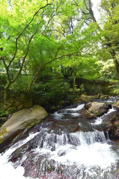 Large Two-Family Home Yokohama City Kanagawa Prefecture (7)