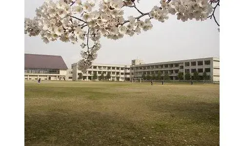 Slide 13