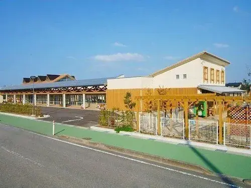 Slide 8