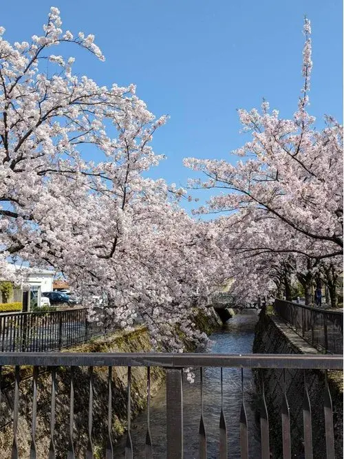 7DK+S Property Nonoichi City Ishikawa Prefecture (26)