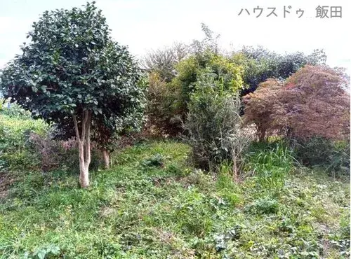 5DK+S Property, Iida City, Nagano Prefecture (13)