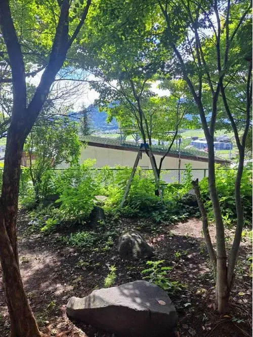 5DK Property Ueda City Nagano Prefecture (16)