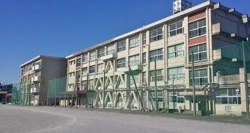 Slide 8