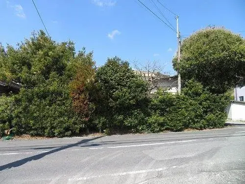 Slide 7