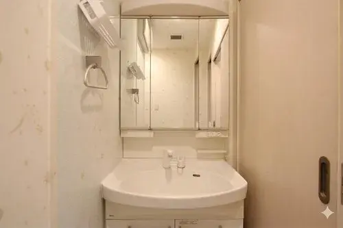 3LDK+S Property Nagoya City Aichi Prefecture (14)