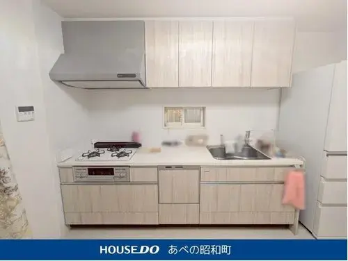 3LDK Property Osaka City Osaka Prefecture (9)
