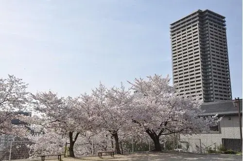 5LDK+S Property Neyagawa City Osaka Prefecture (16)